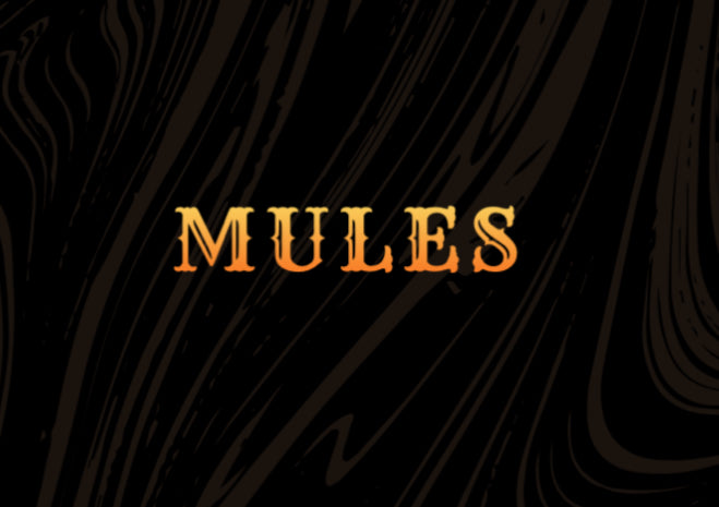 Women’s Mules