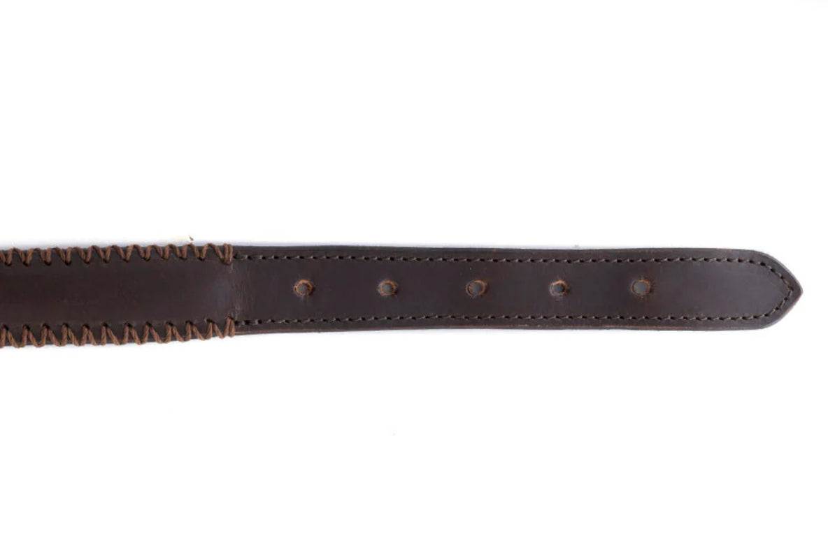 Rio Correr Dog Collar