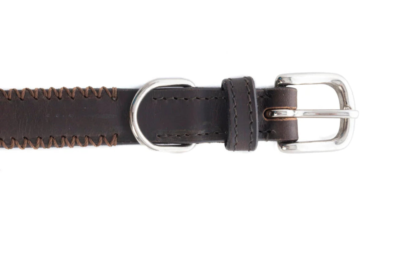Rio Correr Dog Collar