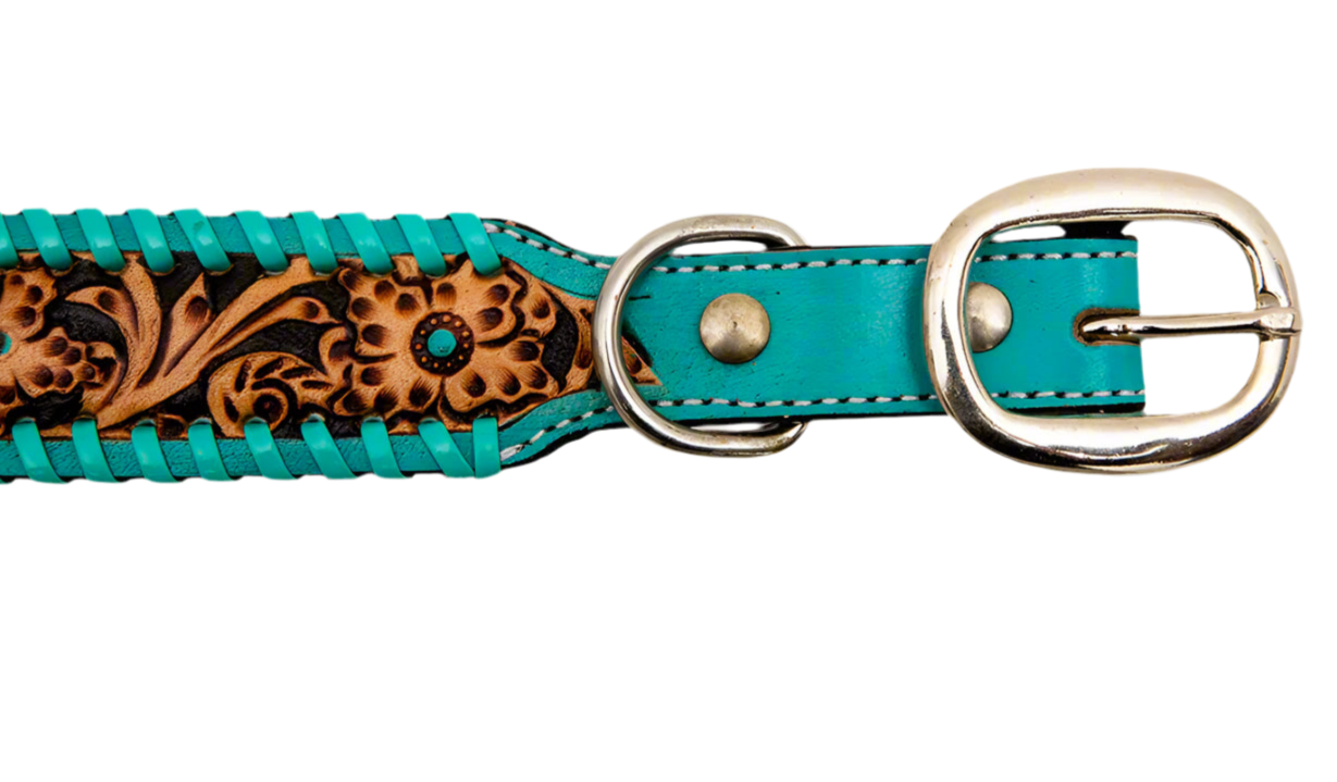 Acety Leather Dog Collar