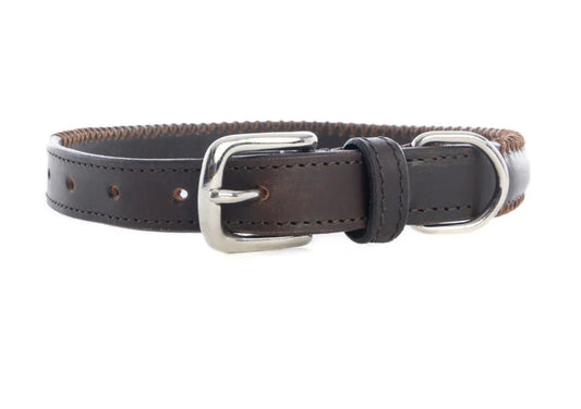 Rio Correr Dog Collar