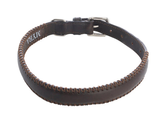 Rio Correr Dog Collar