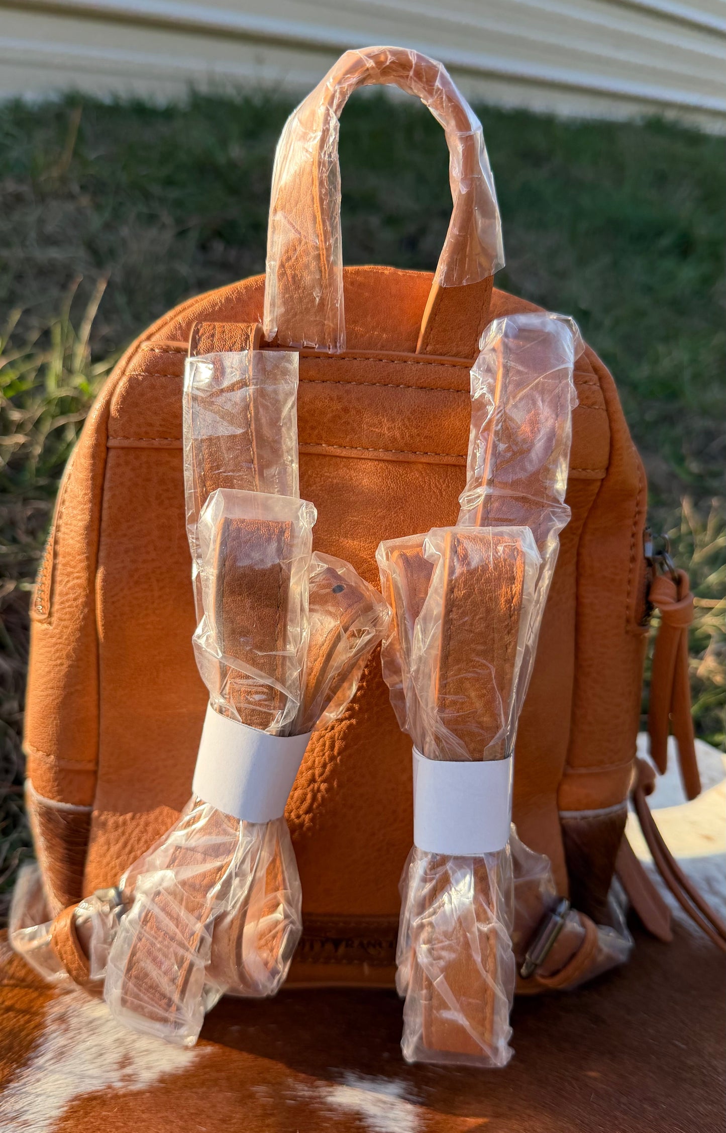 Hair-On Cowhide Mini Backpack