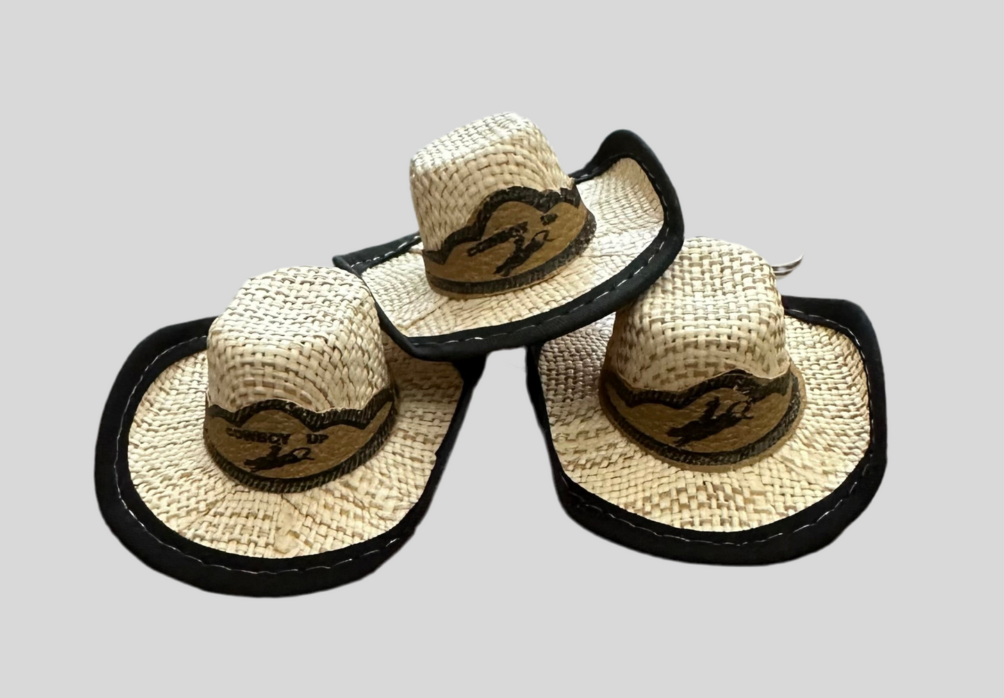 Rodeo Western Hat Keychain