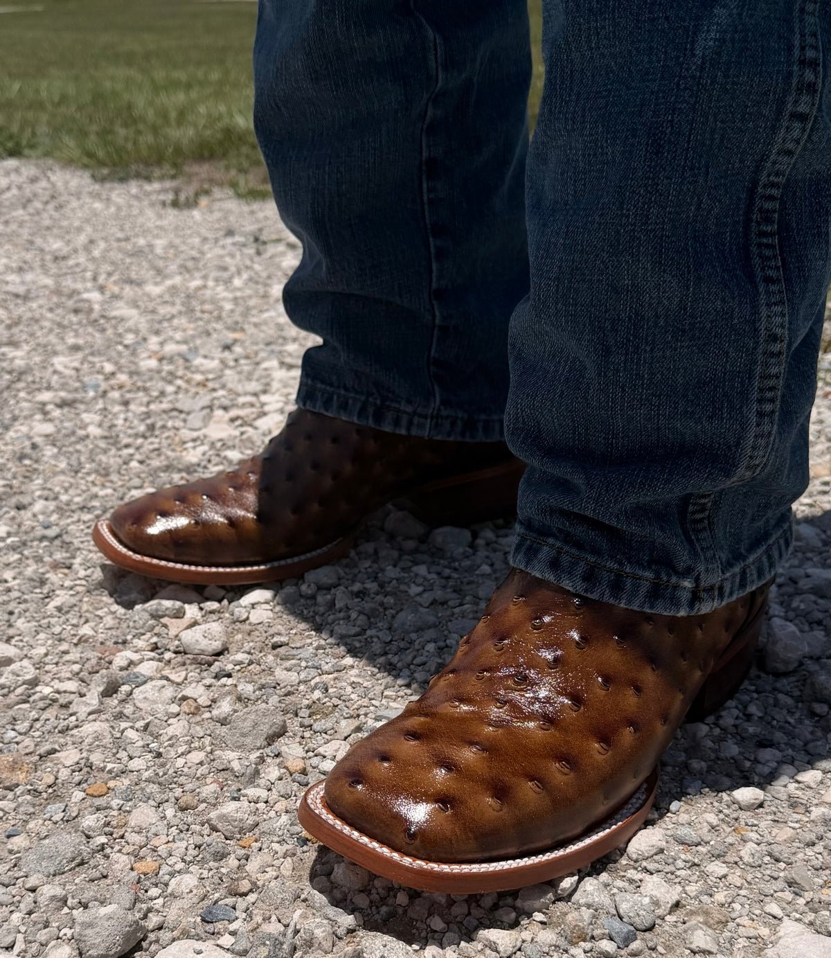 Men’s Ostrich Print-Miel Dorada Square Toe