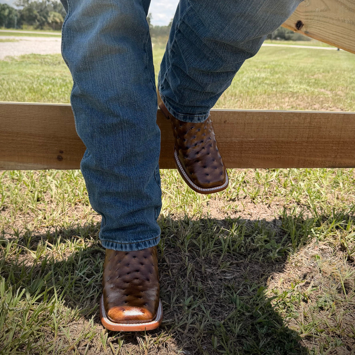 Men’s Ostrich Print-Miel Dorada Square Toe